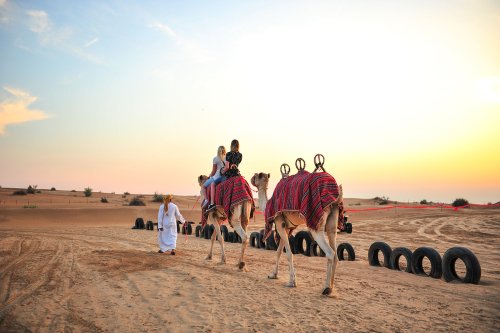 Camel Ride Dubai Desert Safari Tour