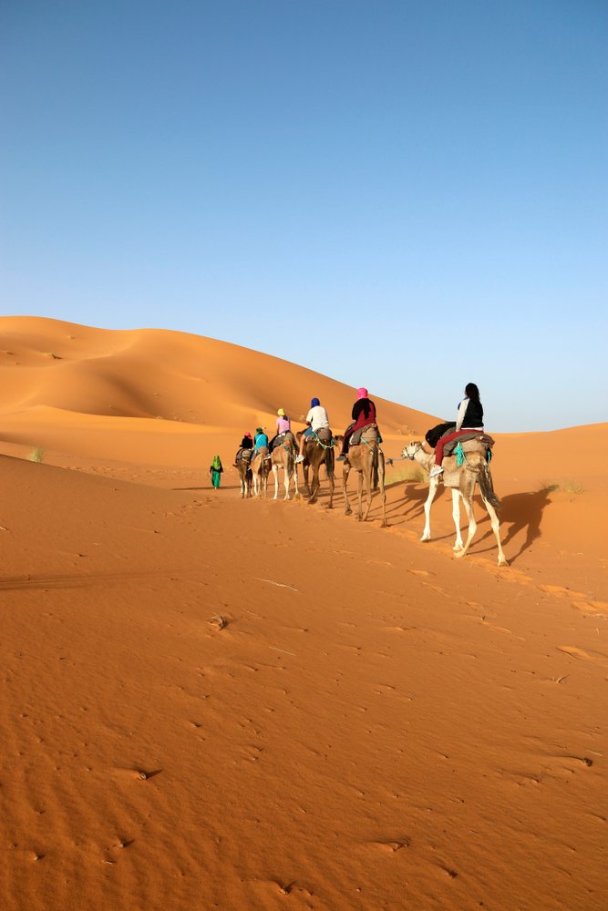 Plan your Dubai Desert Safari Ahead